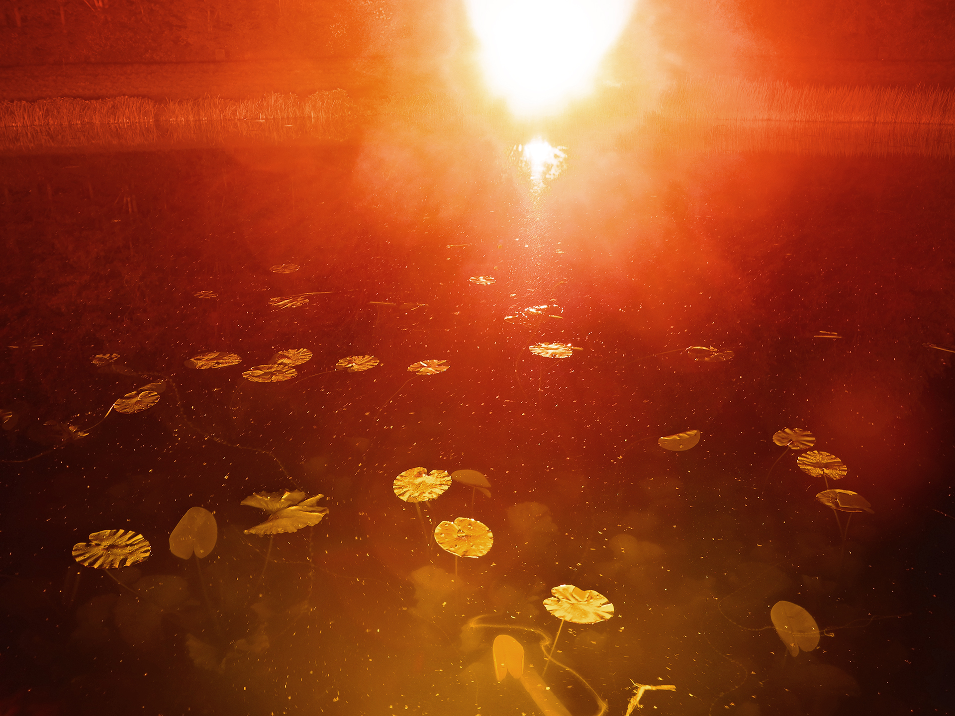 Klaus Grünberg, light design for DARKNESS 1816, lucid dream, 2016