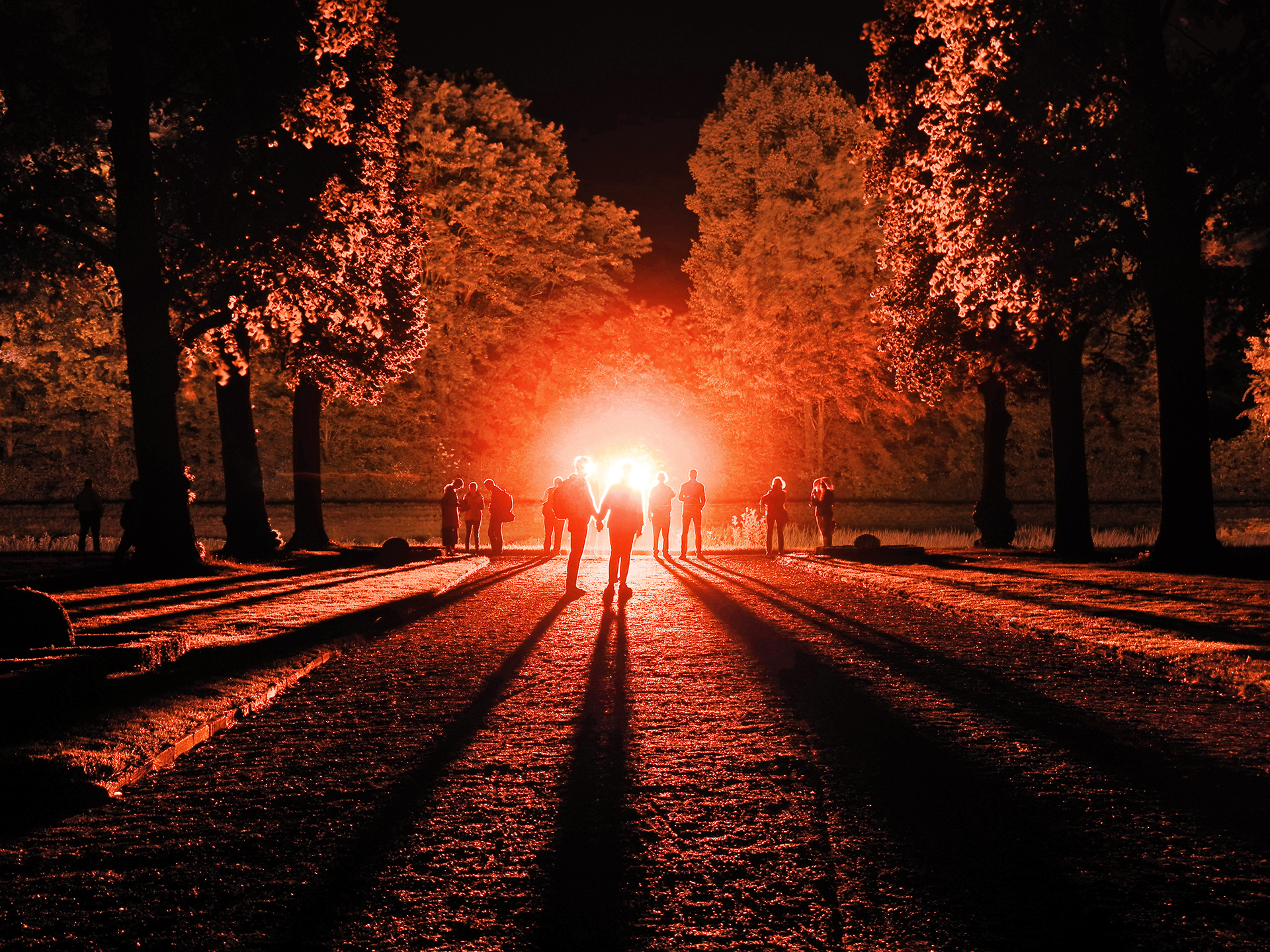 Klaus Grünberg, light design for DARKNESS 1816, lucid dream, 2016