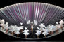 rheingold